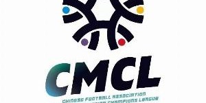 开云赛事-湖州美奇退出2025中冠联赛总决赛，北京灵动星空递补参赛